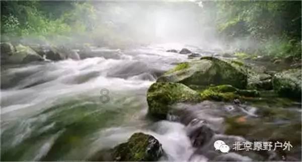 寻找丢失的金币